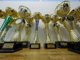 Pokaż zdjęcie: Puchary