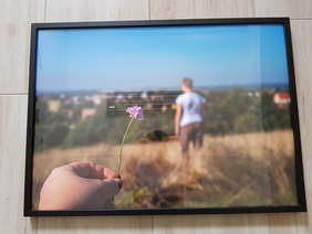 Pokaż zdjęcie: Fotografia przedstawiająca dłoń z kwiatkiem na tle krajobrazu i na dalszym planie człowiek