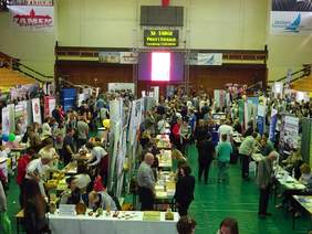 XI Targi Pracy i Edukacji w Tarnobrzegu