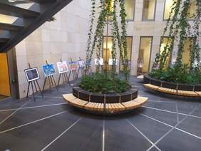 Pokaż zdjęcie: Na tle kamiennej ściany stoją sztalugi, a na nich są wyeksponowane obrazy, na froncie zdjęcia kompozycja z roślin zielonych