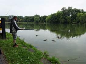 Pokaż zdjęcie: Uczestnik zawodów  podczas łowienia ryb