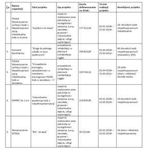 Pokaż zdjęcie: lista projektów realizowanych w ramach konkursu "Samodzielni i skuteczni"
