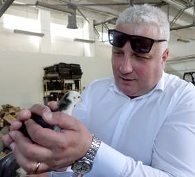 Jacek Juszkiewicz, starosta wielicki w pracowni hodowlanej