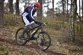 Pokaż zdjęcie: Józefów - kwiecień 2017