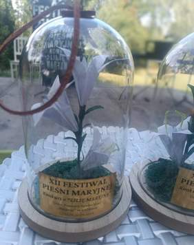 Pokaż zdjęcie: Biały kwiat lilii schowany w szklanym kloszu. 