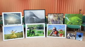 Pokaż zdjęcie: fotografia