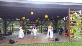 Występ uczestników Środowiskowego Domu Samopomocy z Sułkowic