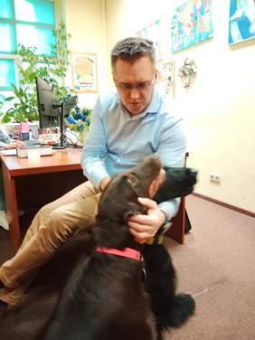 Pokaż zdjęcie: Na krześle siedzi mężczyzna. Obok niego są dwa duże psy. Pan głaszcze zwierzęta. 