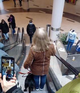 Pokaż zdjęcie: Przekazanie psów przewodników wyszkolonych przy wsparciu ze środków PFRON