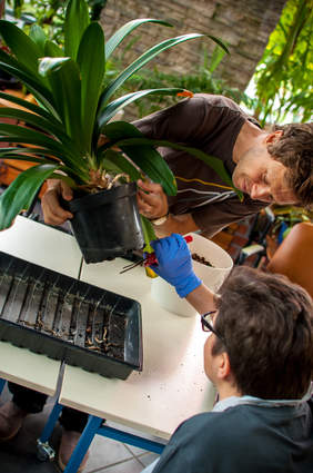 Zajęcia z horiterapii. Zdjęcie pochodzi ze zbiorów własnych Stowarzyszenia "Chronica" w Toruniu.