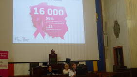 Pokaż zdjęcie: Wystąpienie jednego z prelegentów