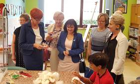 Pokaż zdjęcie: Wyjazdowe posiedzenie Komisji Polityki Społecznej i Rodziny Sejmu RP