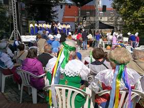 Pokaż zdjęcie: XVII Opolskie Dni Osób Niepełnosprawnych