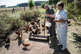 Uczestnicy projektu karmią kury