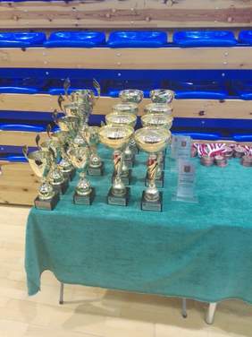 Pokaż zdjęcie: Puchary dla zawodników