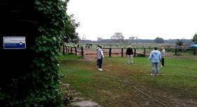 Pokaż zdjęcie: Ośrodek Hipoterapii i Rehabilitacji Konnej w Czeszewie