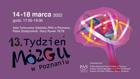 Pokaż zdjęcie: Na fioletowym tle widnieją szczegółowe informacje dotyczące terminu, miejsca oraz organizatorów XIII Tygodnia Mózgu w Poznaniu. Po prawej stronie uwzględniona została natomiast grafika prezentująca mózg w kolorze różowym wraz z wieloma kolorowymi połączeniami nerwowymi.