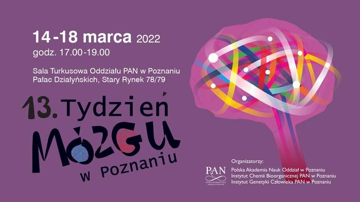Pokaż zdjęcie: Na fioletowym tle widnieją szczegółowe informacje dotyczące terminu, miejsca oraz organizatorów XIII Tygodnia Mózgu w Poznaniu. Po prawej stronie uwzględniona została natomiast grafika prezentująca mózg w kolorze różowym wraz z wieloma kolorowymi połączeniami nerwowymi.