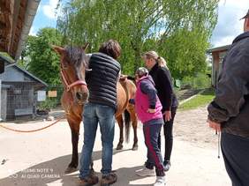 Pokaż zdjęcie: Dwie dziewczyny czyszczą konia pod okiem terapeutki. Chłopiec stojący dalej przygląda się tej czynności 