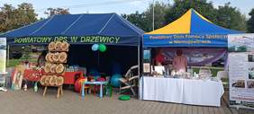 Pokaż zdjęcie: plenerowe stoiska wystawców Domu Pomocy Społecznej na stoisku umieszczono prace artystyczne wykonane przez osoby z niepełnosprawnościami