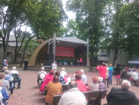 Pokaż zdjęcie: występy artystyczne podczas Senioraliów 