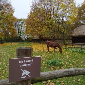 Pokaż zdjęcie: Tablice informacyjne,fot.Muzeum Wsi Lubelskiej