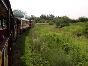 Pokaż zdjęcie: przez zielone przestrzenie jedzie kolejka wąskotorowa - widoczna z lewej strony