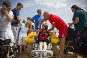 Pokaż zdjęcie: Amfibia - fot. Krzysztof MystkowskiKFP