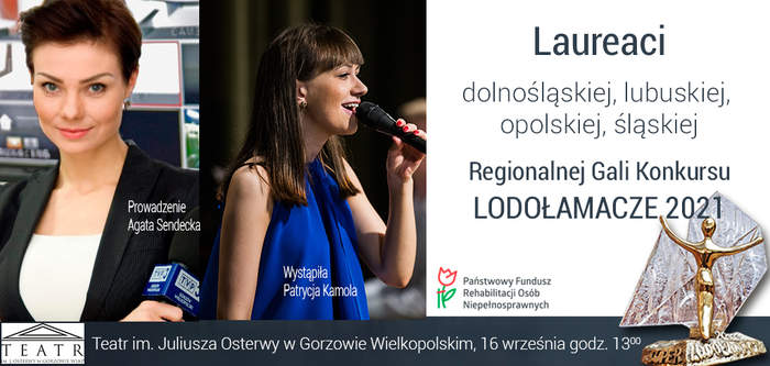 Pokaż zdjęcie: Kolaż zdjęciowy dot. Gali regionalnej konkursu "Lodołamacze"