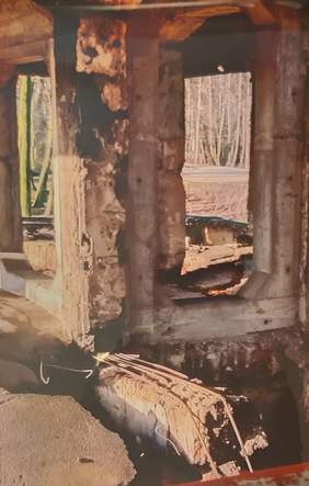 Pokaż zdjęcie: Dwa okna z widokiem na ciepły, żółtobrązowy las. Okna są stare, bez szyb, jasnobrązowe z domieszką szarości. Przez okno z lewej strony widok na dwa drzewa o barwie oliwkowej, jasna zieleń z delikatnym dodatkiem jasnego żółtego. 