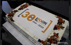 Pokaż zdjęcie: Tort prostokątny śmietankowy z owocami, na górze logo LFOON oraz 30 lat.