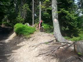 Pokaż zdjęcie: Zjazd podczas zawodów w Turbaczu