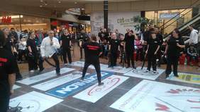 Pokaż zdjęcie: pokazy szermierki klasycznej GO-NOW podopiecznych Stowarzyszenia