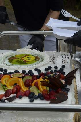 Pokaż zdjęcie: Na stoliku leży duży tort z owocami. Znajduje się na nim napis: 35 lat Drużyn. W tle widać osobę z nożem, która będzie kroić tort. 