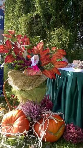 Piknik ekologiczny współorganizowany dzięki pomocy Zespołu Szkół nr 25 w Toruniu. Zdjęcie pochodzi ze zbiorów własnych Toruńskiego Towarzystwa Autyzmu.