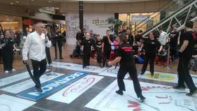 Pokaż zdjęcie: pokazy szermierki klasycznej GO-NOW podopiecznych Stowarzyszenia