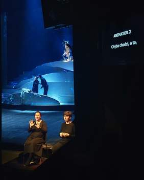 Pokaż zdjęcie: Spektakl "Kwiat Paproci" dostępny dla widzów z niepełnosprawnościami