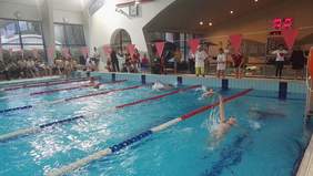 Pokaż zdjęcie: VI Wadowicka Gala Pływacka Osób z Niepełnosprawnościami