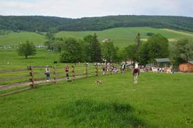 Pokaż zdjęcie: Widok na zielone łąki, po których spacerują zwierzęta - mieszkańcy Mini ZOO