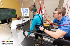 Pokaż zdjęcie: Terapia chodu