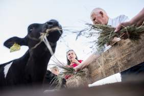 Uczestnicy projektu karmią cielaka