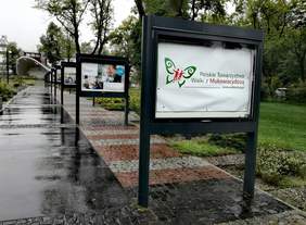 Pokaż zdjęcie: Wystawa dotycząca mukowiscydozy PTWM w Zakopanem