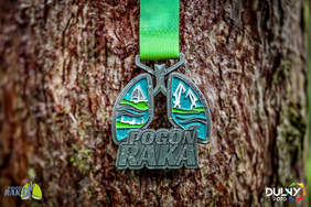 Pokaż zdjęcie: Zbliżenie na okolicznościowy medal z Biegu Pogoń Raka, zawieszony na zielonej wstążce i oparty o korę drzewa. Medal ma kształt stylizowanych płuc, z niebiesko-zielonym wypełnieniem i napisem "Pogoń Raka" u dołu. Wewnątrz widać motywy żaglówki i wiatraków.