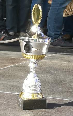 Pokaż zdjęcie: XVII Opolskie Dni Osób Niepełnosprawnych