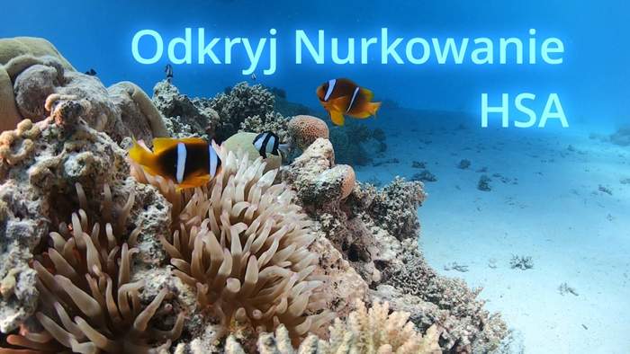 Pokaż zdjęcie: Grafika promująca film pt. „Odkryj nurkowanie HSA”