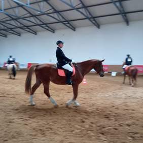 Pokaż zdjęcie: Zawodnik na koniu podczas konkurencji