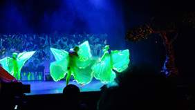 Pokaż zdjęcie: Występy artystyczne w Bobrowie