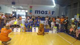 Pokaż zdjęcie: Zwycięzkie drużyny