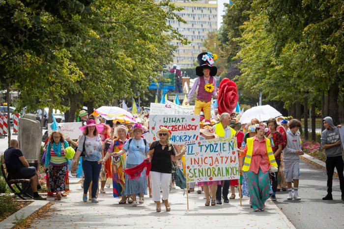 Pokaż zdjęcie: korowód kapeluszy