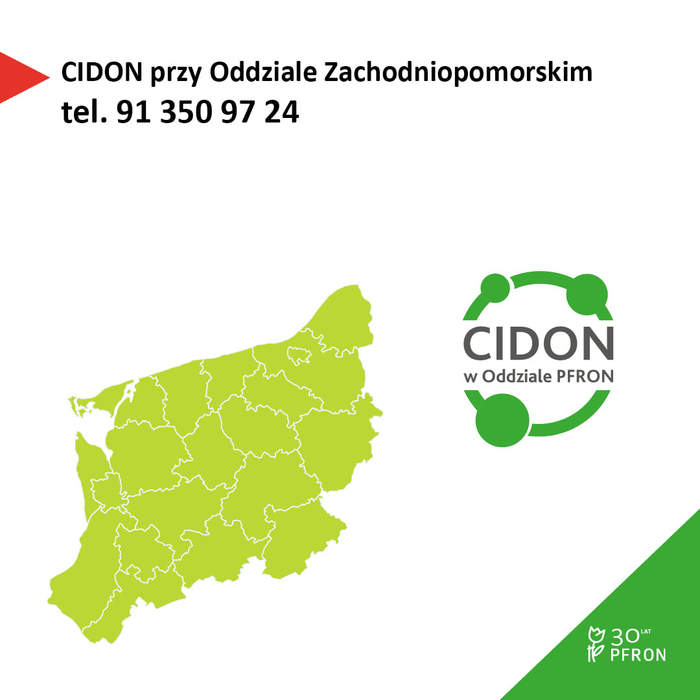 Pokaż zdjęcie: Grafika informacyjna